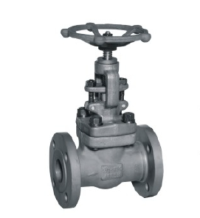 AF-GVF Forged Globe Valve