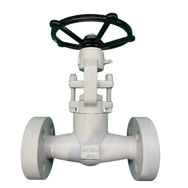 AF-GTF Forge Steel Gate Valve