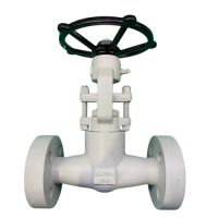 AF-GTF Forge Steel Gate Valve