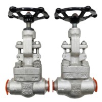 AF-GVE Globe Valve