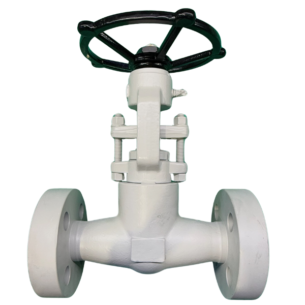 AF-GTF Forge Steel Gate Valve