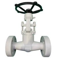 AF-GTF Forge Steel Gate Valve