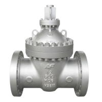 AF-GTE Gate Valve